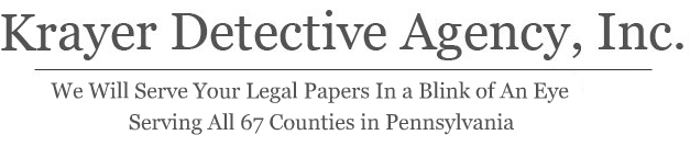 Private Investigators